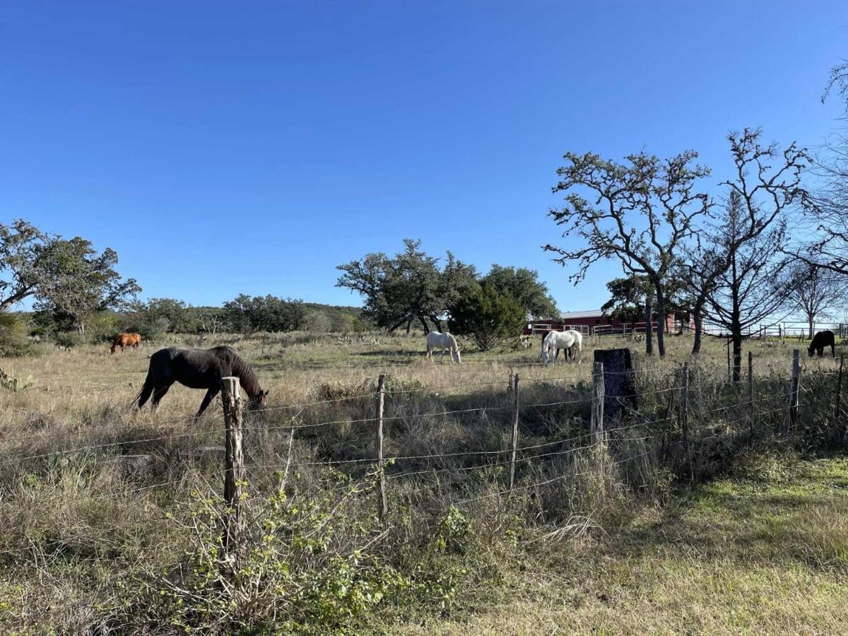 Tarpley West 1077 Guest Ranch - Retreat B&B 외부 사진